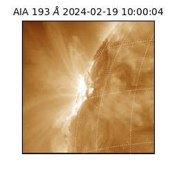 saia - 2024-02-19T10:00:04.843000