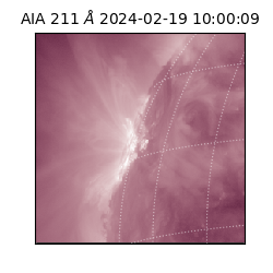 saia - 2024-02-19T10:00:09.626000