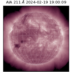 saia - 2024-02-19T19:00:09.627000