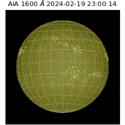 saia - 2024-02-19T23:00:14.137000