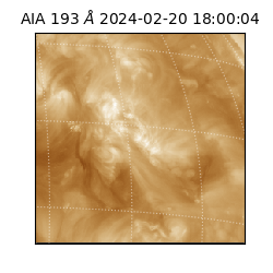 saia - 2024-02-20T18:00:04.843000
