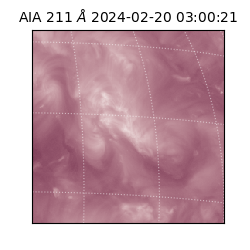 saia - 2024-02-20T03:00:21.632000