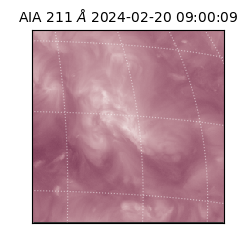 saia - 2024-02-20T09:00:09.630000