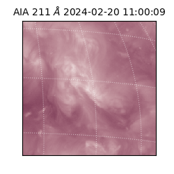 saia - 2024-02-20T11:00:09.639000