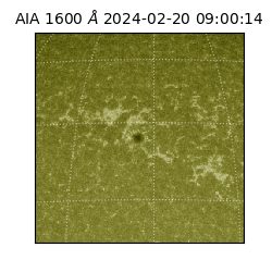 saia - 2024-02-20T09:00:14.132000