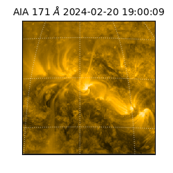 saia - 2024-02-20T19:00:09.350000