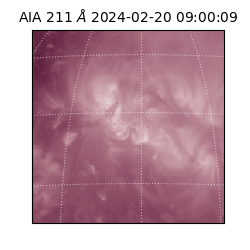 saia - 2024-02-20T09:00:09.630000