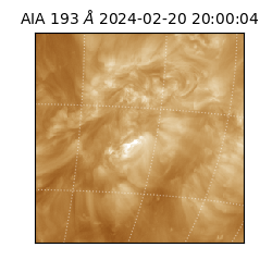 saia - 2024-02-20T20:00:04.846000