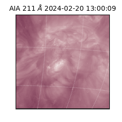 saia - 2024-02-20T13:00:09.632000