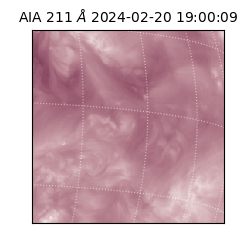 saia - 2024-02-20T19:00:09.623000