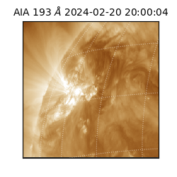 saia - 2024-02-20T20:00:04.846000
