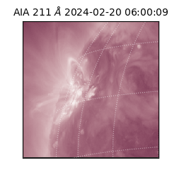saia - 2024-02-20T06:00:09.626000