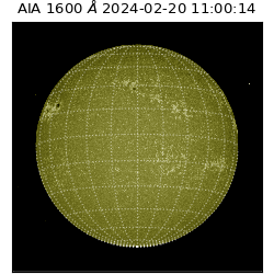 saia - 2024-02-20T11:00:14.134000