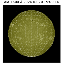 saia - 2024-02-20T19:00:14.137000