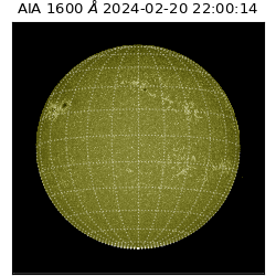 saia - 2024-02-20T22:00:14.129000