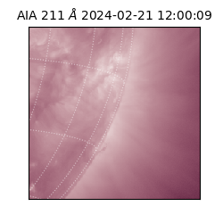 saia - 2024-02-21T12:00:09.623000