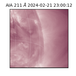 saia - 2024-02-21T23:00:12.799000