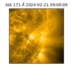 saia - 2024-02-21T09:00:09.350000