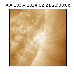 saia - 2024-02-21T23:00:06.936000