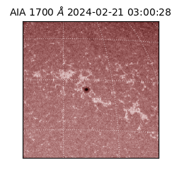 saia - 2024-02-21T03:00:28.717000