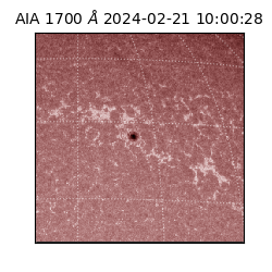 saia - 2024-02-21T10:00:28.733000