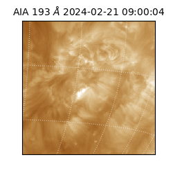 saia - 2024-02-21T09:00:04.843000