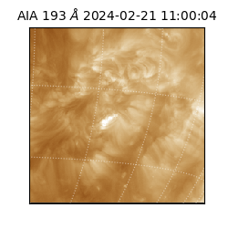 saia - 2024-02-21T11:00:04.843000