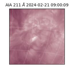 saia - 2024-02-21T09:00:09.626000