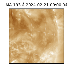 saia - 2024-02-21T09:00:04.843000