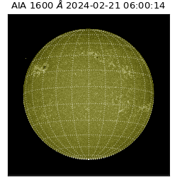 saia - 2024-02-21T06:00:14.130000