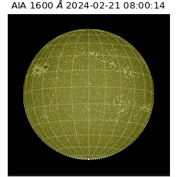 saia - 2024-02-21T08:00:14.125000