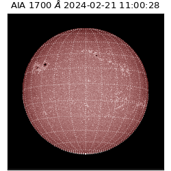 saia - 2024-02-21T11:00:28.741000