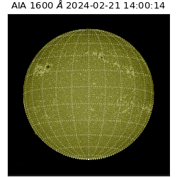 saia - 2024-02-21T14:00:14.126000
