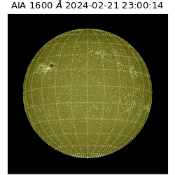 saia - 2024-02-21T23:00:14.122000