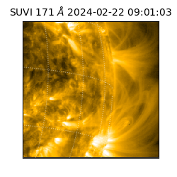 suvi - 2024-02-22T09:01:03.489000