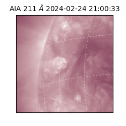 saia - 2024-02-24T21:00:33.626000