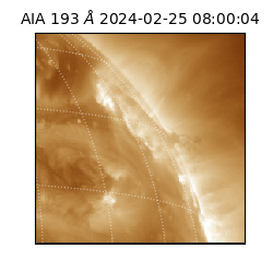 saia - 2024-02-25T08:00:04.843000