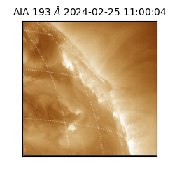 saia - 2024-02-25T11:00:04.843000