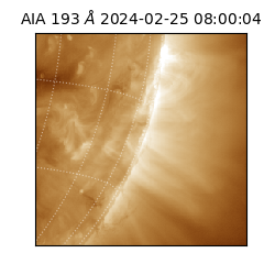 saia - 2024-02-25T08:00:04.843000
