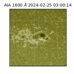 saia - 2024-02-25T03:00:14.129000