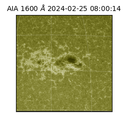 saia - 2024-02-25T08:00:14.129000