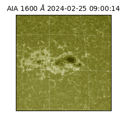 saia - 2024-02-25T09:00:14.125000