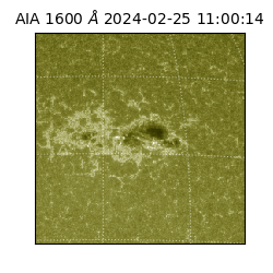 saia - 2024-02-25T11:00:14.125000