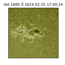 saia - 2024-02-25T17:00:14.130000