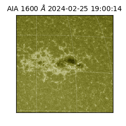 saia - 2024-02-25T19:00:14.126000