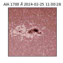 saia - 2024-02-25T11:00:28.717000