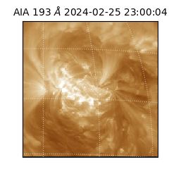 saia - 2024-02-25T23:00:04.842000