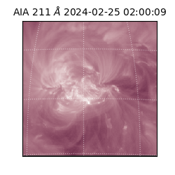 saia - 2024-02-25T02:00:09.626000