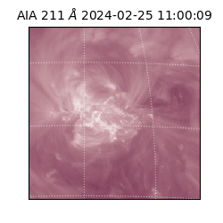 saia - 2024-02-25T11:00:09.630000