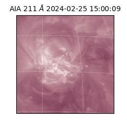 saia - 2024-02-25T15:00:09.626000